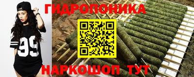 a pvp Гай
