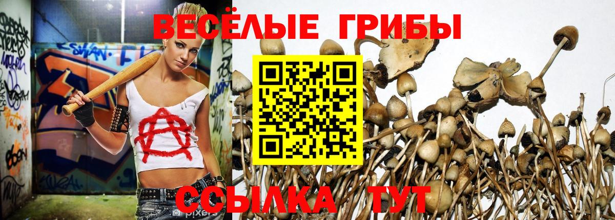 Галлюциногенные грибы мухоморы Мытищи