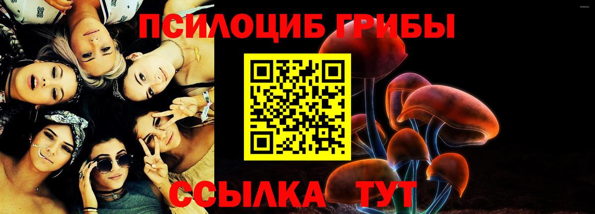 Мытищи  Псилоцибиновые грибы Psilocybine cubensis  Вход с VPN  Галлюциногенные грибы Psilocybine cubensis 